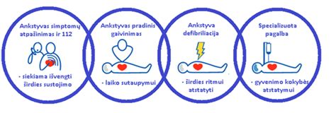 Schema: Gyvybės palaikymo grandinė (Chain of Survival)