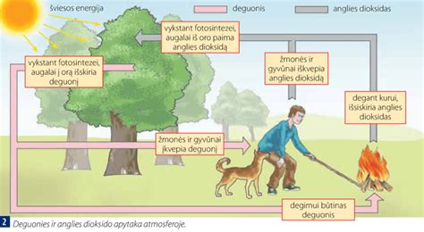 termodinaminių ciklų schemos