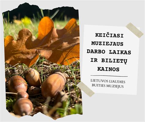 Bilietų kainos ir tipai