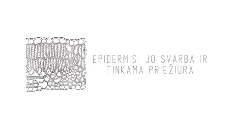 Tinkama turbinos priežiūra