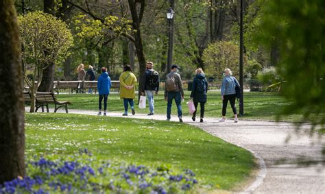 Saulėta diena automobilių plovykloje