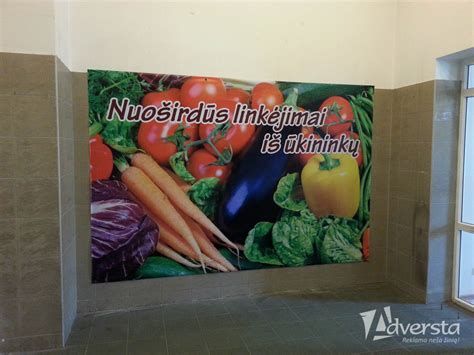Įvairių tipų lauko reklamos stendų pavyzdžiai