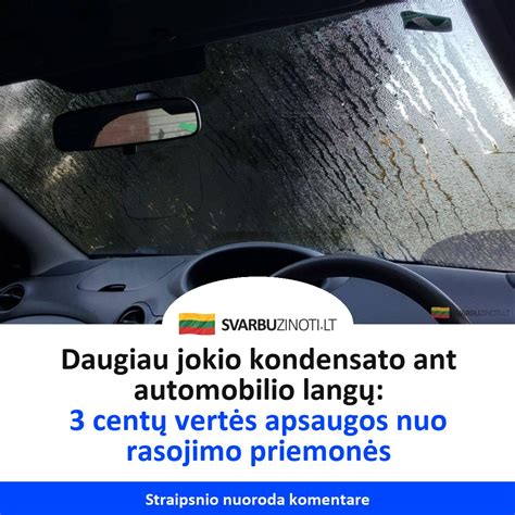 Įvairios automobilio apsaugos priemonės