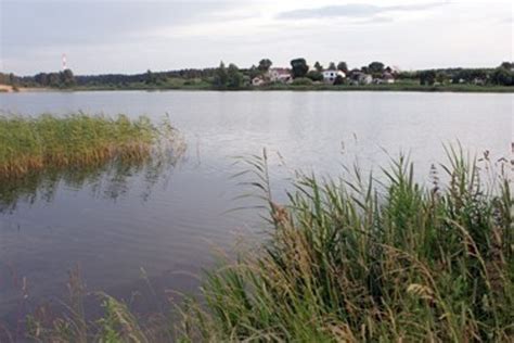 Japoniškas vandens telkinys sode