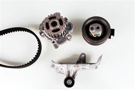 Schematinis Renault paskirstymo diržo sistemos vaizdas