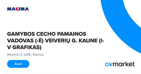 Grafikas: Huawei pajamos ir gamybos apimtys