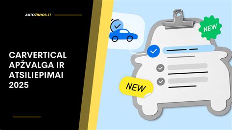 carVertical logotipas ir sąsaja