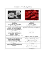 Eritrocitų ir leukocitų palyginimas