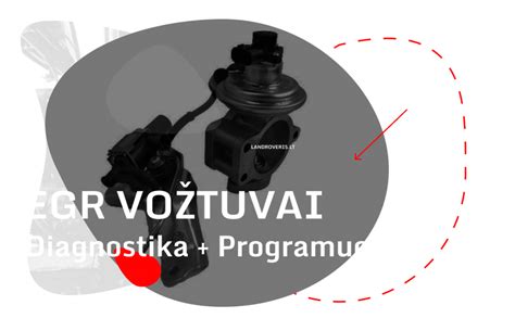 Rover 75 variklio diagnostika