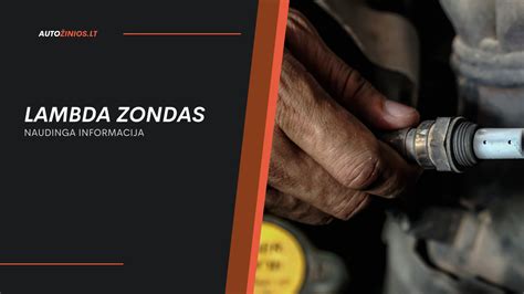 Lambda zondo veikimo principas