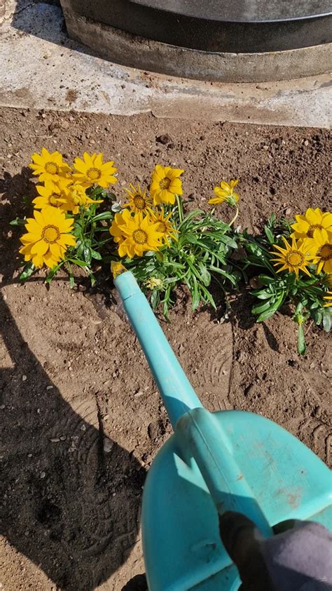 Sezoninė ratlankių priežiūra