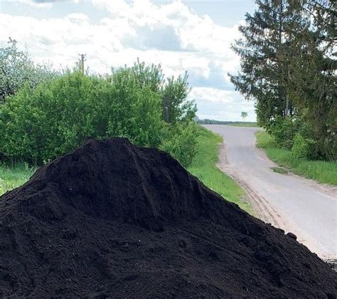 Nuotrauka su jau pagamintu kompostu ir augalais