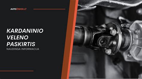 Schematinis automobilio kardaninio veleno pavaizdavimas
