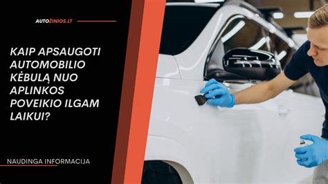 Schematinis automobilio dalių, kurias reikia apsaugoti antikoroziniu vaško, pavaizdavimas