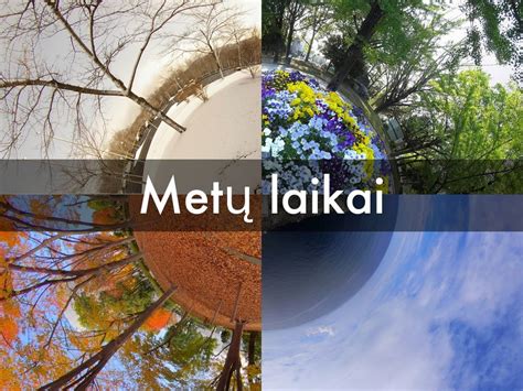 Metų laikai ir automobilių kvapų pasirinkimas