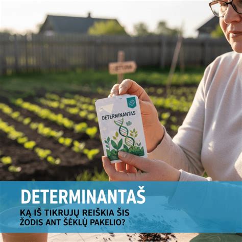 Informacija ant sėklų pakelio