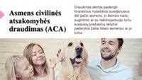 Schema, kaip veikia civilinės atsakomybės draudimas