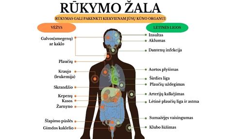 Paskaita apie rūkymo žalą