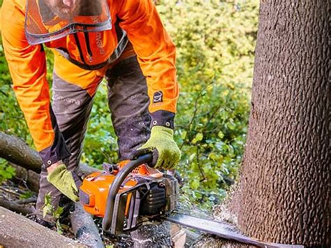 medžių kirtimo vietos žemėlapis