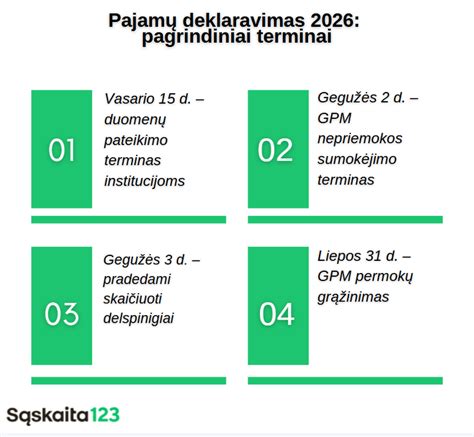 Struktūrinė schemą pajamų deklaravimo