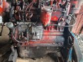 Variklis traktoriaus MTZ