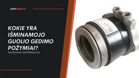 Sankabos išminamojo guolio gedimo požymiai