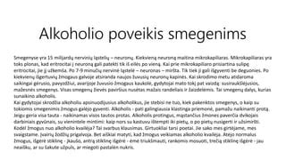 schematinis žmogaus organizmo reagavimas į alkoholio kieki kraujyje