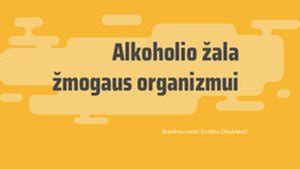 Infografika apie alkoholio poveikį organizmui