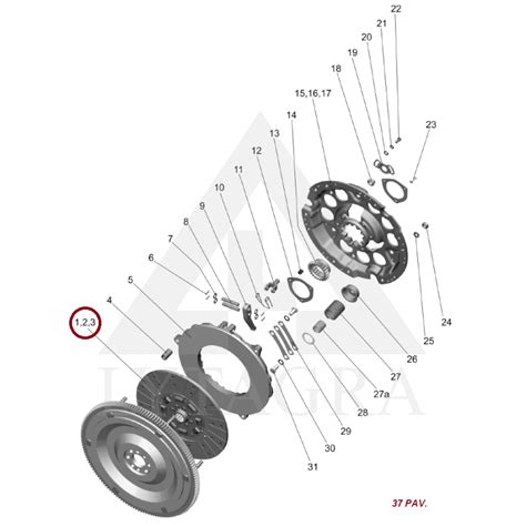Pažeistos sankabos disko dalys