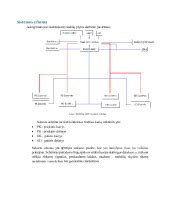 Schema hidraulinių stabdžių sistemos