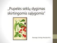 Infografika, palyginanti GPS tikslumą su skirtingomis sąlygomis