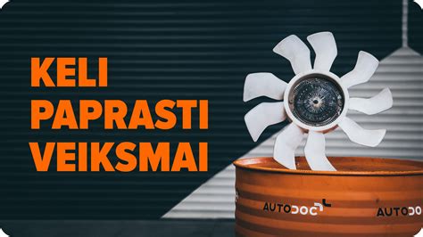 Dalis, kurias reikia keisti keičiant paskirstymo diržą