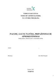 Schema: Pajamų natūra pripažinimas ir PVM atskaitos galimybės