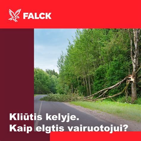 Schema, kaip tinkamai pastatyti avarinį ženklą