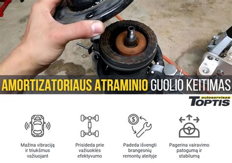 Amortizatoriaus atraminio guolio schema