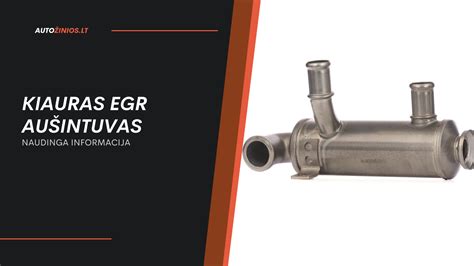 EGR aušintuvo dalies vaizdas