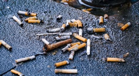 Nuotrauka su daug kontrabandinių cigarečių