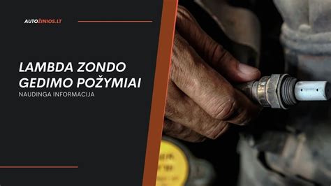 Infografika: Lambda zondo gedimo požymiai