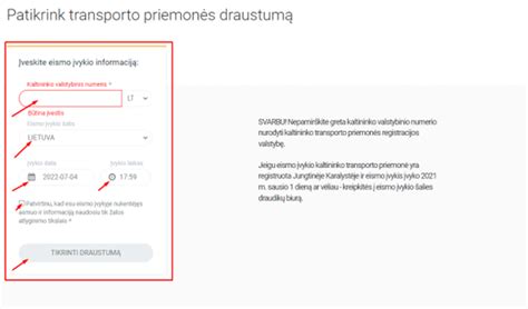 Automobilio dokumentų tikrinimas