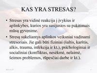 streso priežastys vairuojant