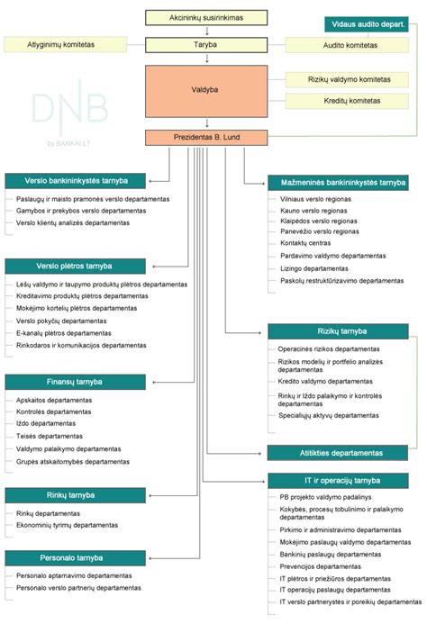 Schematinis vaizdas, kaip veikia DNB banko paslaugos