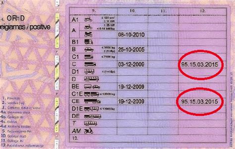 Vairuotojo pažymėjimas ir 95 kodas