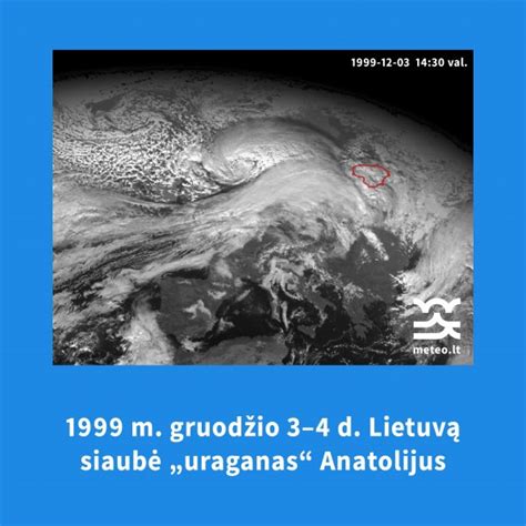 Nuotrauka, kurioje matomas išvalytas katalizatoriaus vidus
