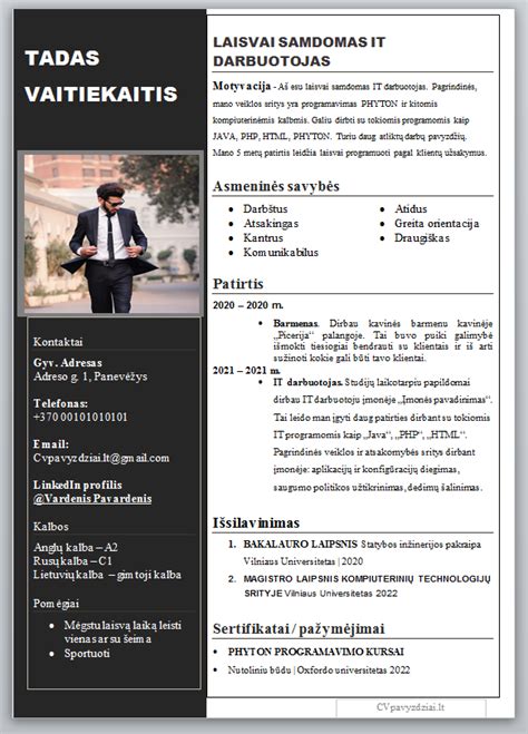Pavyzdys profesionalaus laisvai samdomo specialisto portfolio