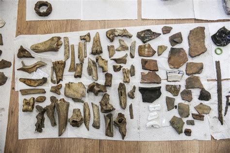 Archeologiniai radiniai Vilniaus Žemutinėje pilyje