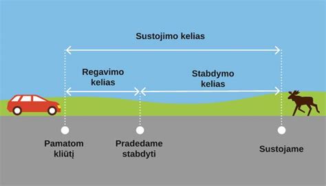 Schematinis pavaizdavimas stabdymo kelio ir sustojimo kelio skirtumo