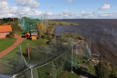 Ventės rago paukščių žiedavimo stotis