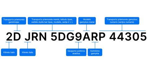Transporto priemonės identifikavimo numerio (VIN) pavyzdys