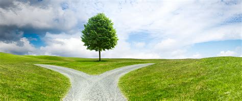 Alternatyvos įmonės automobiliui