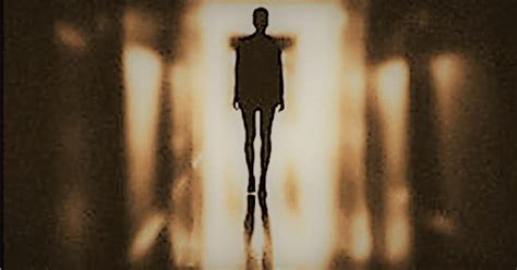 Schema, kaip nustatoma atsakomybė už neteisėtą žmogaus persekiojimą